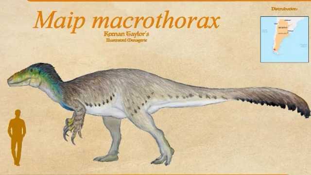 Maip macrothorax, el dinosaurio megarraptor más grande. (Foto: YouTube)