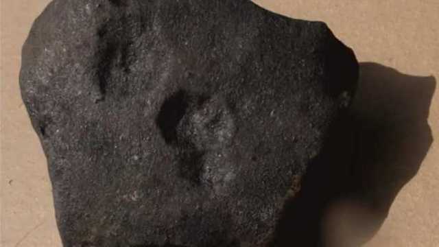 Analizan por primera vez un meteorito caído en Galicia. (Foto: CSIC)