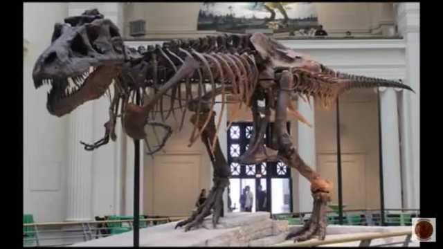 Scotty, el tiranosaurio rex más grande del mundo. (Foto: YouTube)